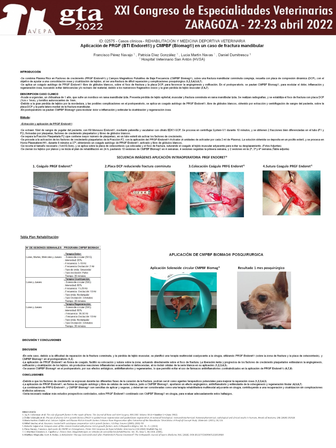 magnetoterapia veterinaria